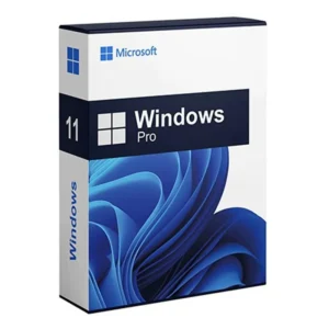 Licence Windows 11 Professionnel